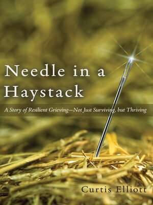 cover image of Needle in a Haystack
